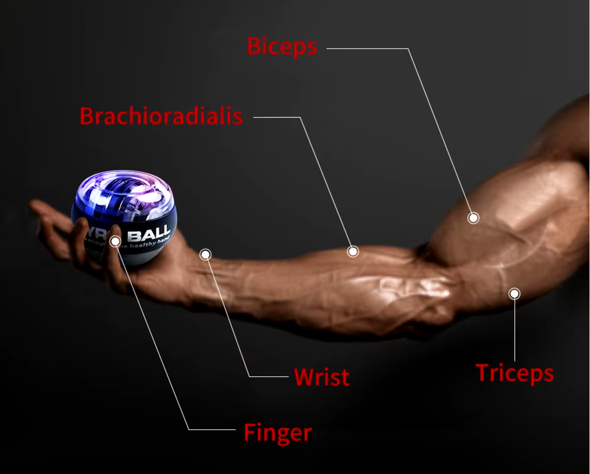 Person gripping a Gyro Powerball trainer, demonstrating wrist rotation